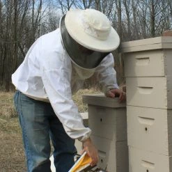 Beessential Store Beessential All Natural Lemon Lavender Lip Balm 4 Pack - Voted Best For Dry And Chapped Lips – Great For Men, Women, And Children – Moisturizing Beeswax, Coconut, Shea And Cupuacu Butter 12 Beessential Store Beessential All Natural Lemon Lavender Lip Balm 4 Pack - Voted Best For Dry And Chapped Lips – Great For Men, Women, And Children – Moisturizing Beeswax, Coconut, Shea And Cupuacu Butter -Moisturizers Sales 1ssiw4hlwmgktglsidy0d1jqo3o2