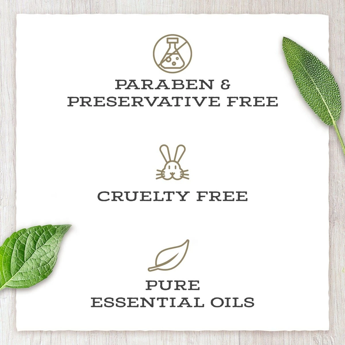 Little Moon Essentials Lip Balm (Variety Pack, 3 Pack) 9 Little Moon Essentials Lip Balm (Variety Pack, 3 Pack) - Image 7