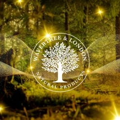 Wavertree & London Store Wavertree & London Havana (1 Bar) -Moisturizers Sales 2qtwvmlc1n1w0uatd1r20t8f3lk5