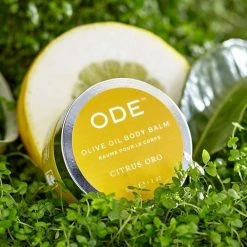 ODE Natural Beauty Olive Oil Body Balm 2oz - CITRUS ORO 6 ODE Natural Beauty Olive Oil Body Balm 2oz - CITRUS ORO -Moisturizers Sales 42zng3v31rucfwwc3ojjqaqtee0v