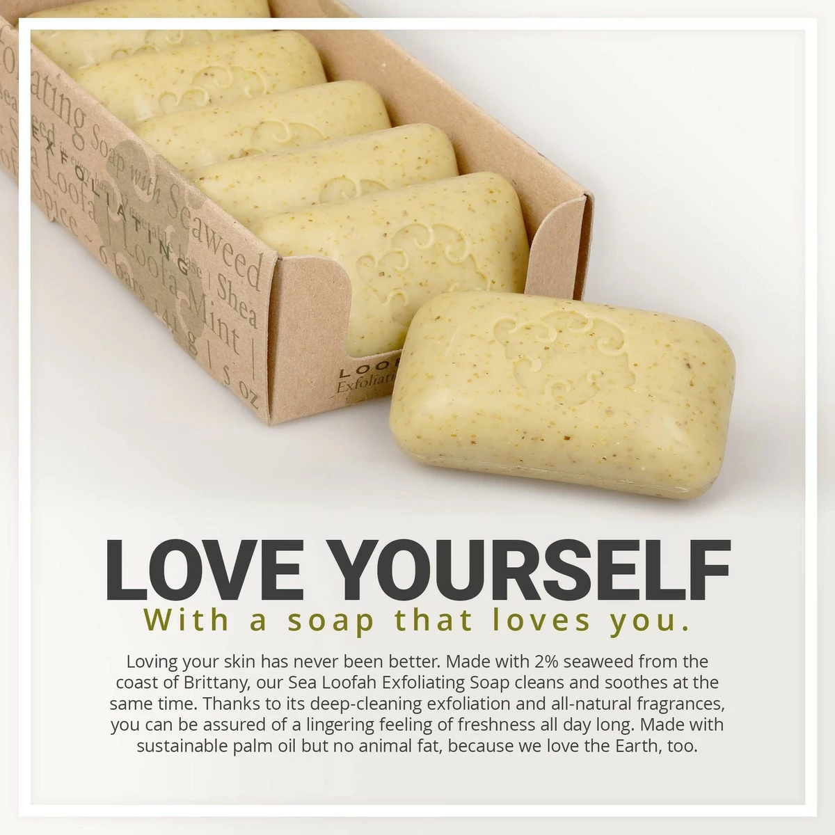 Baudelaire Exfoliating Soap, Sea Loofa Bath Soap & Body Soap, Natural Soap, Triple Milled With 100% Natural Fragrance, 2% Seaweed And Sustainable Palm Oil - 5 Oz (COMES IN 6 PIECE BOX!) 6 Baudelaire Exfoliating Soap, Sea Loofa Bath Soap & Body Soap, Natural Soap, Triple Milled With 100% Natural Fragrance, 2% Seaweed And Sustainable Palm Oil - 5 Oz (COMES IN 6 PIECE BOX!) - Image 4