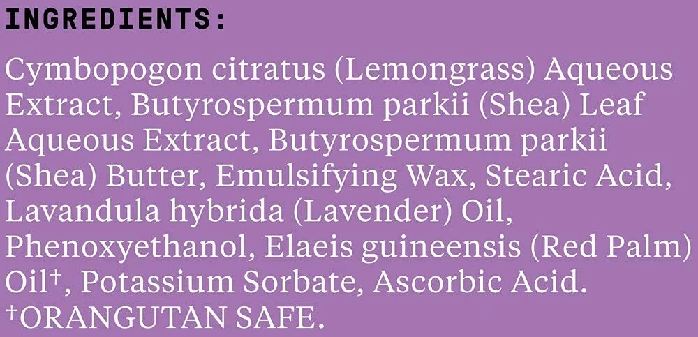 Alaffia Store Alaffia Everyday Shea Body Lotion, Lavender 16 FZ (Pack Of 2) 5 Alaffia Store Alaffia Everyday Shea Body Lotion, Lavender 16 FZ (Pack Of 2) - Image 3