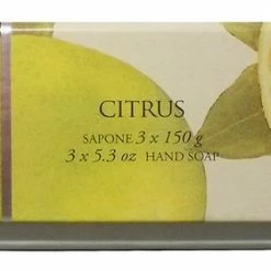 La Florentina: "Agrumi Di Boboli" Bar Soaps, Citrus Scent, "Bellosguardo" Collection - Pack Of 3 Soaps, 5.3 Ounces (150g) Each, Gift Box [ Italian Import ] -Moisturizers Sales 6fhk0c8o85ylmjh11lju35f6be5n