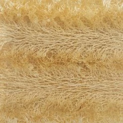 Primal Elements Smokey Vetiver 5.0 Oz. Loofah Glycerin Bar Soap 5 Primal Elements Smokey Vetiver 5.0 Oz. Loofah Glycerin Bar Soap -Moisturizers Sales 71hizskptzll608xww3pbvenxvuk