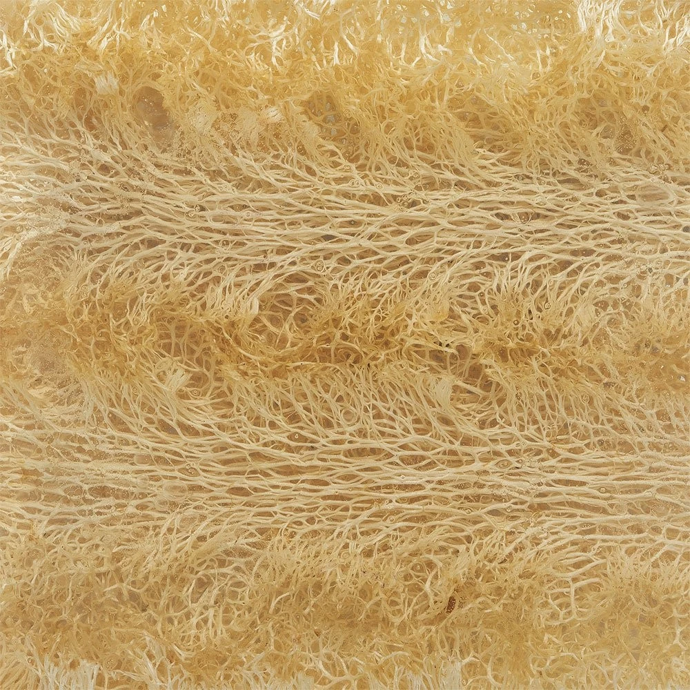 Primal Elements Smokey Vetiver 5.0 Oz. Loofah Glycerin Bar Soap 4 Primal Elements Smokey Vetiver 5.0 Oz. Loofah Glycerin Bar Soap - Image 2