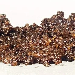 Blossom To Bath Coffee Sugar Scrub, Pumpkin Spice Latte (8 Ounce) -Moisturizers Sales 7aq972mgsekgvaumzqc685nk7qx7