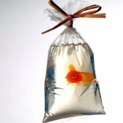 Just Bubbly Store My Pet Fish Soap In A Bag