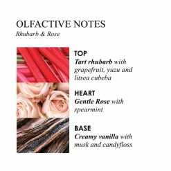 Molton Brown Delicious Rhubarb And Rose Body Wash, 10 Fl Oz -Moisturizers Sales 7yt87tko5gkwfbnw7o3cpt7kq6zd