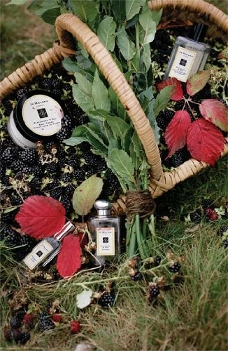 Jo Malone BlackBerry Body Hand Wash 250ml 8.5oz, No Color, Bay, 1 Count 4 Jo Malone BlackBerry Body Hand Wash 250ml 8.5oz, No Color, Bay, 1 Count - Image 2