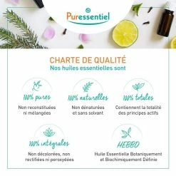 Puressentiel Organic Ginger Essential Oil - Fresh, Warm, Spicy Fragrance - Relaxes And Reduces Stress - Relieves Cold, Cough And Nasal Congestion - Facilitates Digestion - Helps Relieve Fatigue - 5 Ml -Moisturizers Sales 8zid529inemcxfwlm38q4fx12fav