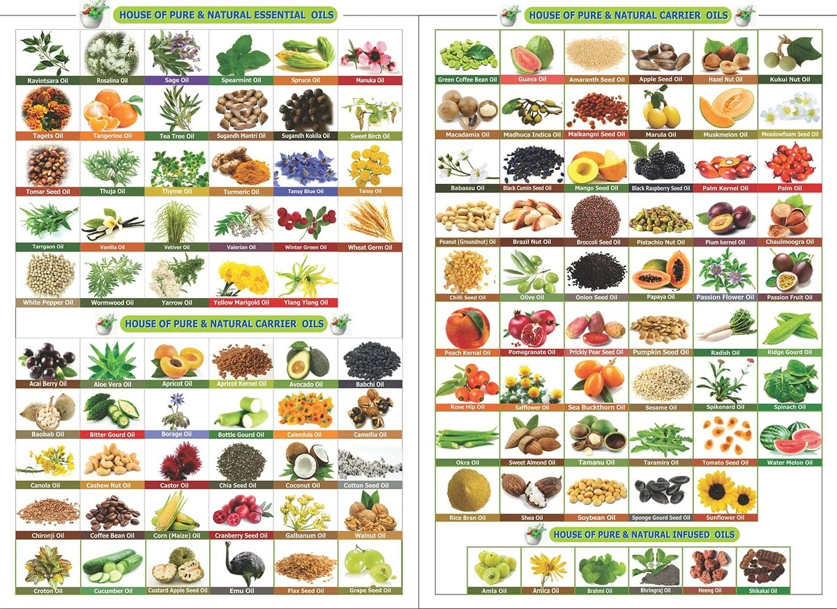 Salvia Hibiscus (Hibiscus Sabdariffa L) Essential Oil 100% Pure, Undiluted & Organic - Natural Remedy For Hair Care Treatment, Hair Growth, Herbal, Premium Aromatherapy Oil - 100ML / 3.38fl Oz With Dropper 5 Salvia Hibiscus (Hibiscus Sabdariffa L) Essential Oil 100% Pure, Undiluted & Organic - Natural Remedy For Hair Care Treatment, Hair Growth, Herbal, Premium Aromatherapy Oil - 100ML / 3.38fl Oz With Dropper - Image 3