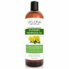 Evening Primrose Oil By Velona - 16 Oz | 100% Pure And Natural Carrier Oil | Cold Pressed And Cold-Filtered | Moisturizing Face, Hair, Body And Skin Care | Use Today - Enjoy Results 1 Evening Primrose Oil By Velona - 16 Oz | 100% Pure And Natural Carrier Oil | Cold Pressed And Cold-Filtered | Moisturizing Face, Hair, Body And Skin Care | Use Today - Enjoy Results -Moisturizers Sales dvoxbp1whwds2rrcgd4nuxkvn7m6