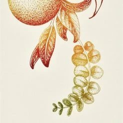 Crabtree & Evelyn Deep Cleansing Body Scrub, Tarocco Orange Eucalyptus And Sage, 6.2 Oz -Moisturizers Sales e7csyl6azs8yyk2prb413zsv6hxj