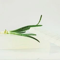 Soap Expressions Aloe Vera Soap Blocks (5lb)