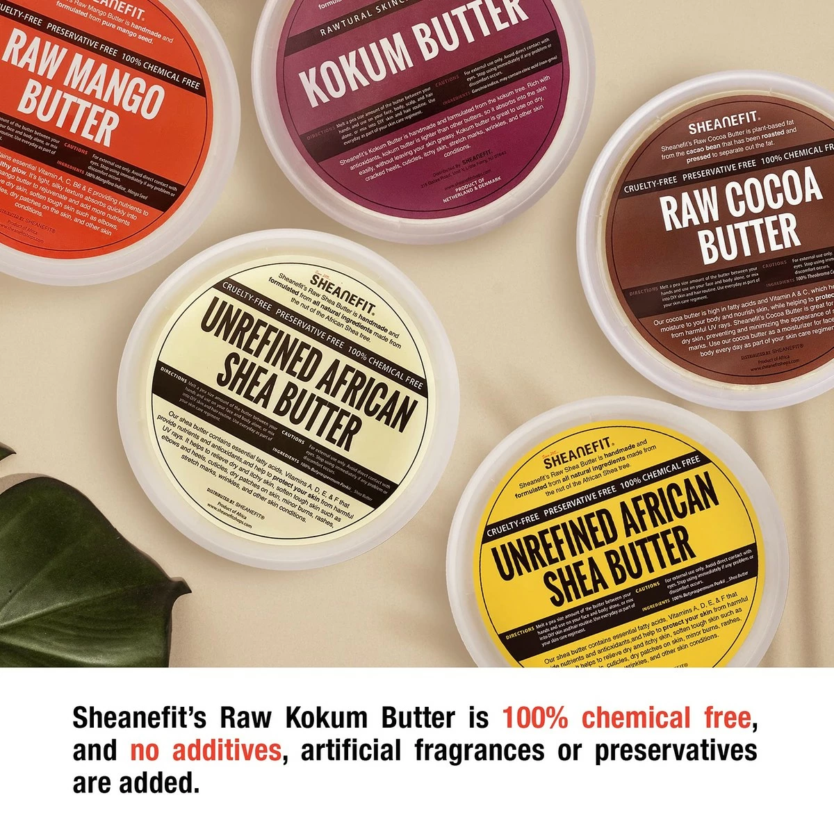 Sheanefit Raw Natural Kokum Butter, Natural Body Butter, Quick Absorbing Daily Moisturizer For Face & Body (16 OZ) 5 Sheanefit Raw Natural Kokum Butter, Natural Body Butter, Quick Absorbing Daily Moisturizer For Face & Body (16 OZ) - Image 3