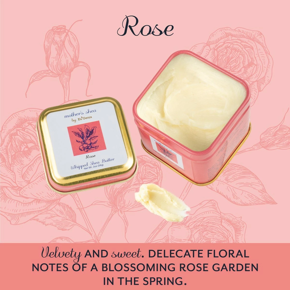 Mother's Shea By Eu'Genia Shea Butter (Rose, 2 Oz Tins - Set Of 3) 100% Pure Raw Unrefined African Shea - Organic, Sustainably-Sourced Ingredients - Natural Skin & Hair Care 4 Mother's Shea By Eu'Genia Shea Butter (Rose, 2 Oz Tins - Set Of 3) 100% Pure Raw Unrefined African Shea - Organic, Sustainably-Sourced Ingredients - Natural Skin & Hair Care - Image 2