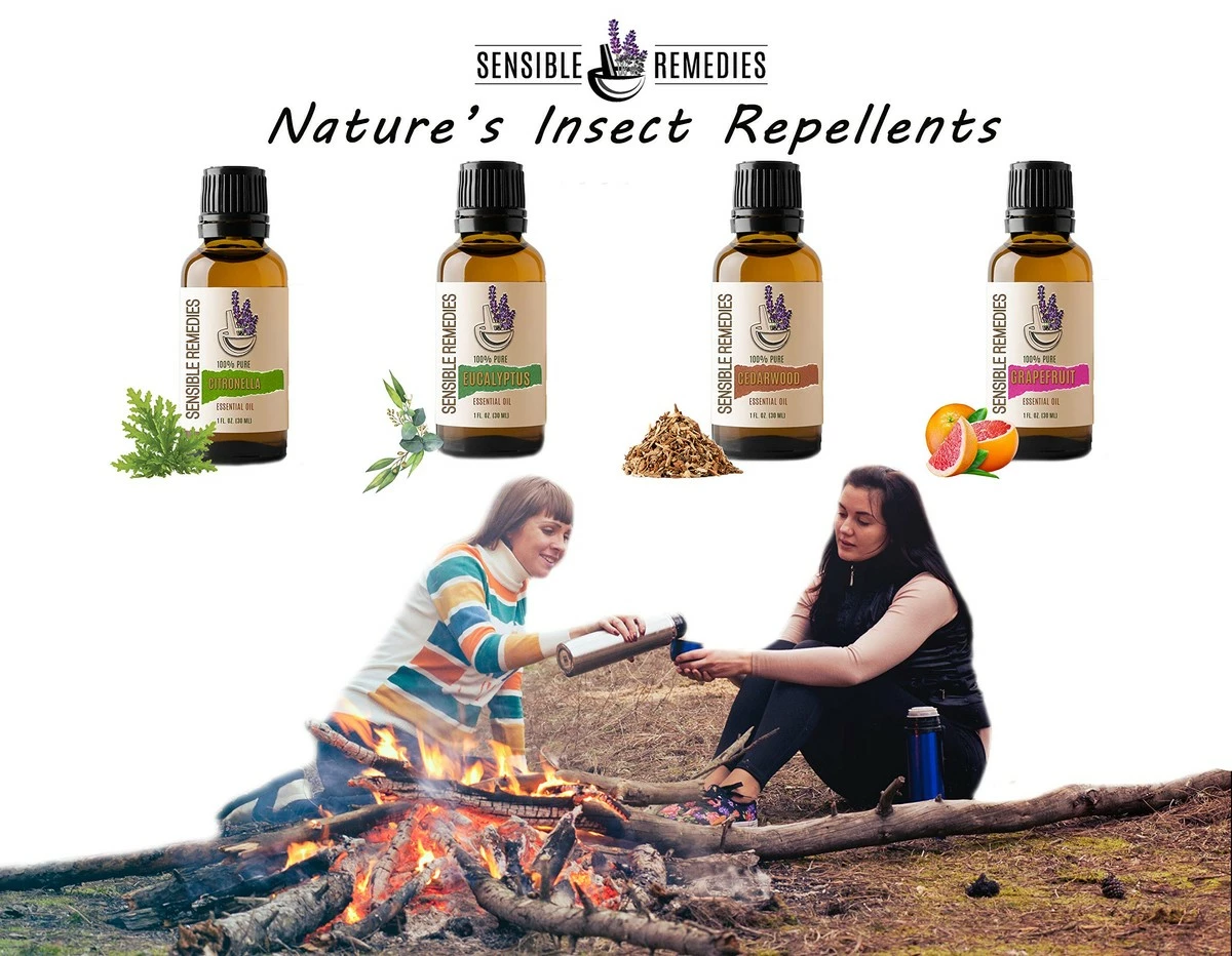 Sensible Remedies Moringa Oil 100% Pure And Natural Distilled 30 ML (1 Oz) 11 Sensible Remedies Moringa Oil 100% Pure And Natural Distilled 30 ML (1 Oz) - Image 9