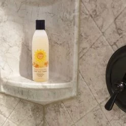 Deodorizing Citrus Plus Elder Shampoo And Body Wash By BoaVida With New Leak-proof Caps, Soap Made With Persimmon To Treat The Presence Of Nonenal And Remove Old Person Smell, 8 Oz -Moisturizers Sales hofwvm8zubggfa09z1fvydz5htzk