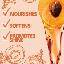 NatureBox Nature Box Hair Nourishment & Shine Spray - With 100% Cold Pressed, Apricot Oil, 5.1 Ounce -Moisturizers Sales jed33iqapxytncvptbig923o02oe