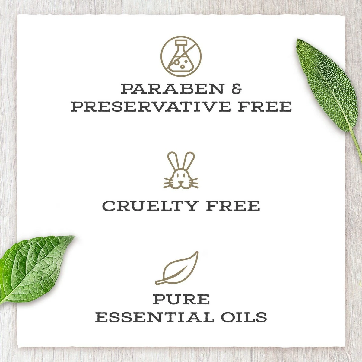 Little Moon Essentials Lip Balm (Beach All You Want, 3 Pack) 9 Little Moon Essentials Lip Balm (Beach All You Want, 3 Pack) - Image 7