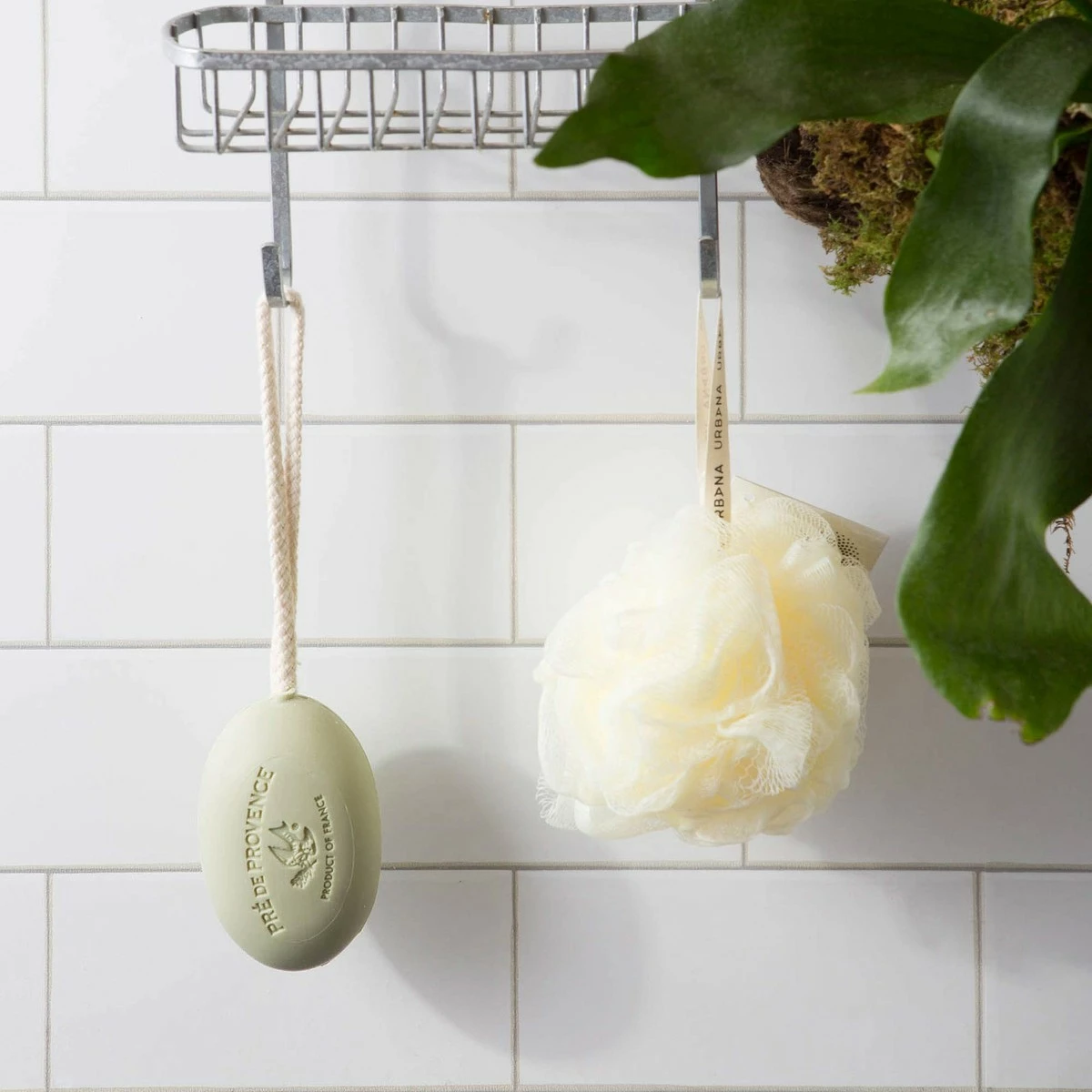 Pre De Provence Store Pre De Provence Soap On A Rope, Sage, 200 Gram 5 Pre De Provence Store Pre De Provence Soap On A Rope, Sage, 200 Gram - Image 3