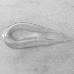 AHAVA 200 Ml Mineral Shower Gel Mandarin/Cedarwood, 6.8 Fl Oz 10 AHAVA 200 Ml Mineral Shower Gel Mandarin/Cedarwood, 6.8 Fl Oz -Moisturizers Sales mqge6mqem72zl09ql01asz3vfbe1