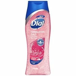 Dial® Dial Enriching Body Wash, Himalayan Salt 16 Oz (Pack Of 8)
