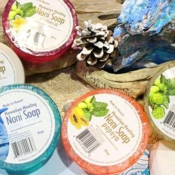 Bubble Shack Hawaii Noni Soap (Coconut) -Moisturizers Sales nw8fxs1am5x4wdeia4rw4puhjizx