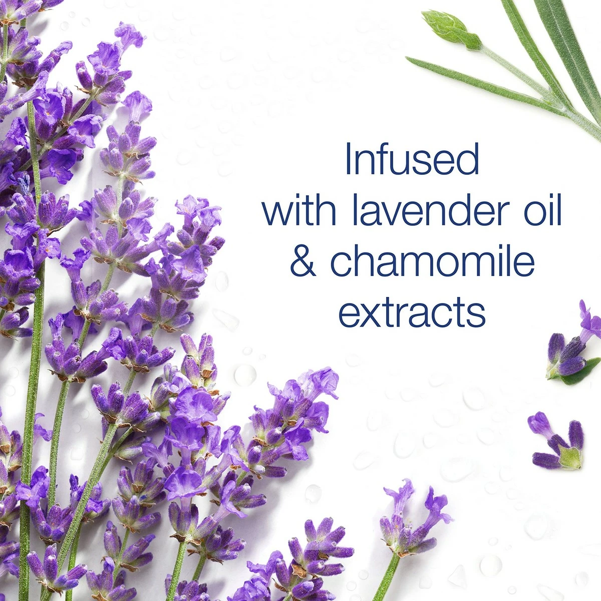 Dove Store Dove Body Wash For Softer And Smoother Skin After Just One Use Lavender Oil And Chamomile Stress Relieving And Calming 22 Oz, 4 Count 11 Dove Store Dove Body Wash For Softer And Smoother Skin After Just One Use Lavender Oil And Chamomile Stress Relieving And Calming 22 Oz, 4 Count - Image 9