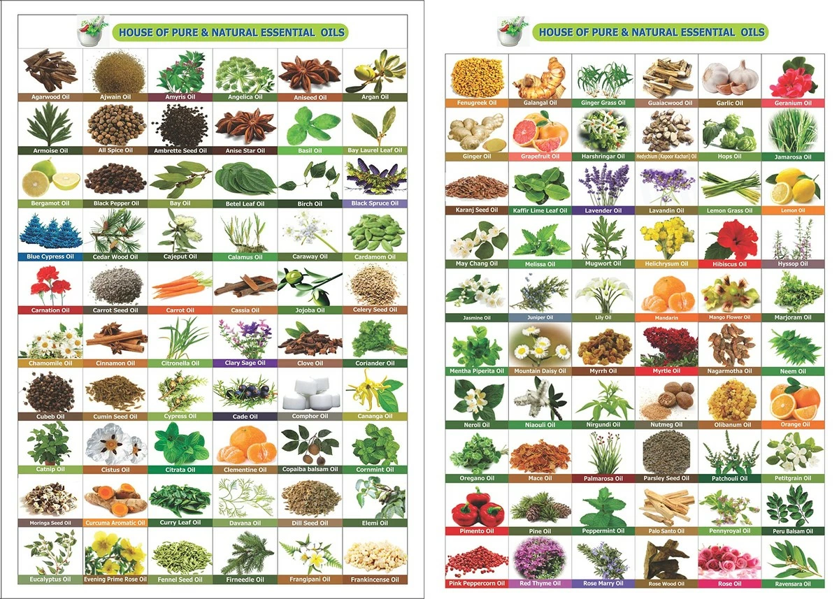 Salvia Hibiscus (Hibiscus Sabdariffa L) Essential Oil 100% Pure, Undiluted & Organic - Natural Remedy For Hair Care Treatment, Hair Growth, Herbal, Premium Aromatherapy Oil - 100ML / 3.38fl Oz With Dropper 4 Salvia Hibiscus (Hibiscus Sabdariffa L) Essential Oil 100% Pure, Undiluted & Organic - Natural Remedy For Hair Care Treatment, Hair Growth, Herbal, Premium Aromatherapy Oil - 100ML / 3.38fl Oz With Dropper - Image 2