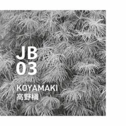IPPINKA Koyamaki Japanese Botanical Air Essential Oil, 10ml 9 IPPINKA Koyamaki Japanese Botanical Air Essential Oil, 10ml -Moisturizers Sales sq0znlqbqgy97mddqccm7qgu53jb