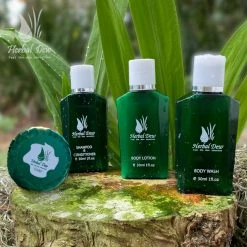 Herbal Dew Hotel Amenities And Travel Size Toiletries Sets: Shampoo & C., Body Wash, Body Lotion And Bar Soap, Aloe & Mint Fragrance, 20 Sets=80 Pcs 11 Herbal Dew Hotel Amenities And Travel Size Toiletries Sets: Shampoo & C., Body Wash, Body Lotion And Bar Soap, Aloe & Mint Fragrance, 20 Sets=80 Pcs -Moisturizers Sales u1kj3saym81gdfdhb7xgayku8izn
