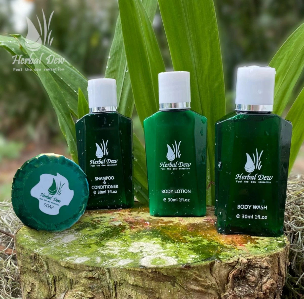 Herbal Dew Hotel Amenities And Travel Size Toiletries Sets: Shampoo & C., Body Wash, Body Lotion And Bar Soap, Aloe & Mint Fragrance, 20 Sets=80 Pcs 7 Herbal Dew Hotel Amenities And Travel Size Toiletries Sets: Shampoo & C., Body Wash, Body Lotion And Bar Soap, Aloe & Mint Fragrance, 20 Sets=80 Pcs - Image 5