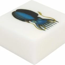 Eclectic Lady Store Sandalwood Rose Scented Glycerin Soap With Vintage Ocean Creatures, Squid 6 Eclectic Lady Store Sandalwood Rose Scented Glycerin Soap With Vintage Ocean Creatures, Squid -Moisturizers Sales uetv9ppfwbwg8zh1uwnfdb96wspa