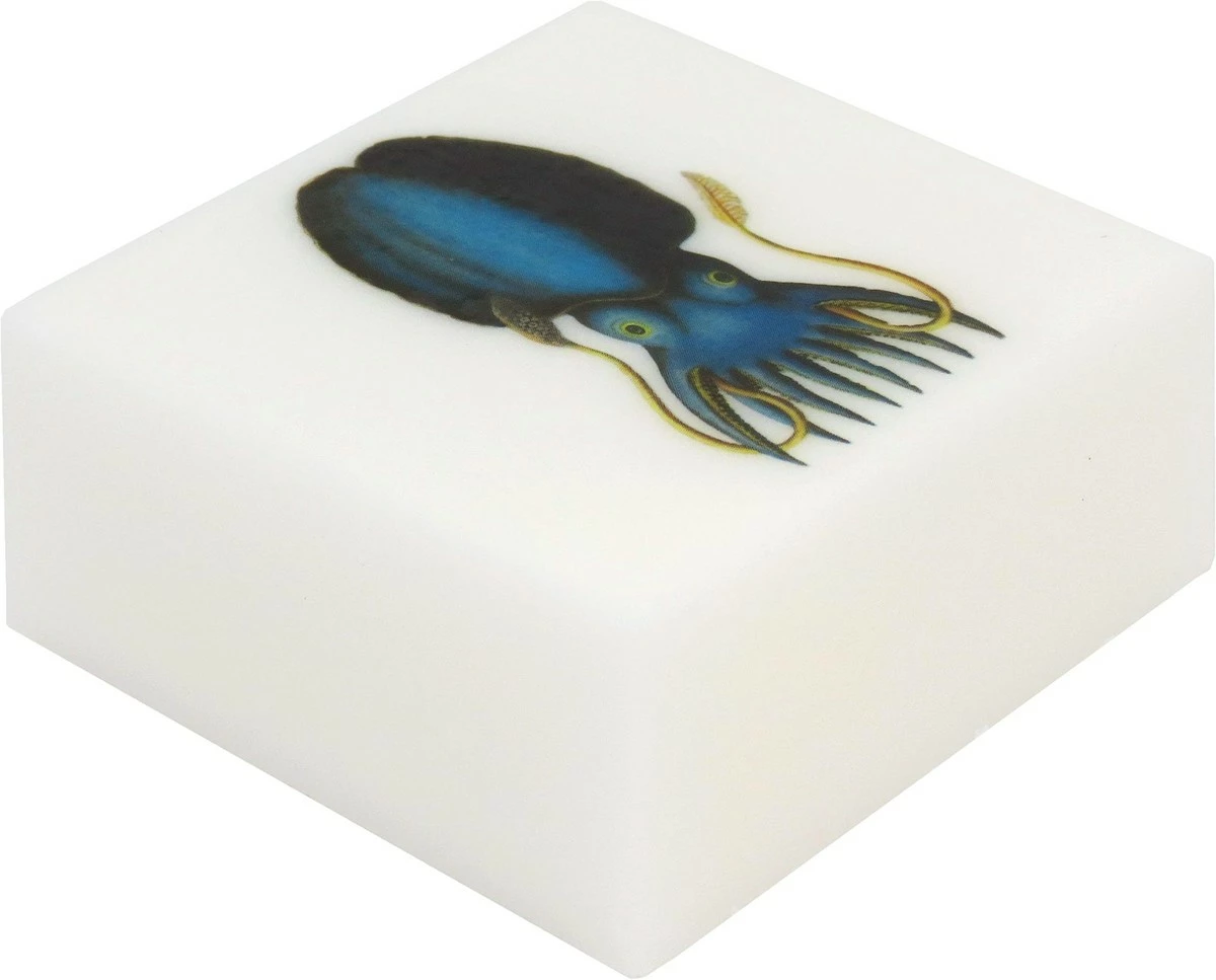 Eclectic Lady Store Sandalwood Rose Scented Glycerin Soap With Vintage Ocean Creatures, Squid 4 Eclectic Lady Store Sandalwood Rose Scented Glycerin Soap With Vintage Ocean Creatures, Squid - Image 2