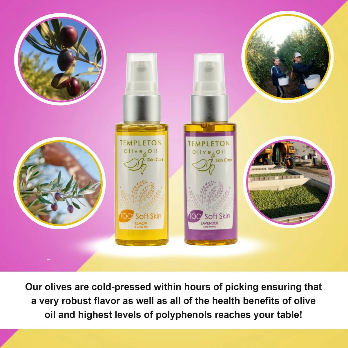 TOO Soft Beauty Products TOO SOFT Skin Care Extra Virgin Olive Oil - Cold-Pressed Natural Body Oil - Moisturizing, Firming, Hydrating Daily Moisturizer For All Skin Types - Non-GMO, Vegan-Friendly - Lavender & Lemon, 2-Pack 8 TOO Soft Beauty Products TOO SOFT Skin Care Extra Virgin Olive Oil - Cold-Pressed Natural Body Oil - Moisturizing, Firming, Hydrating Daily Moisturizer For All Skin Types - Non-GMO, Vegan-Friendly - Lavender & Lemon, 2-Pack - Image 6