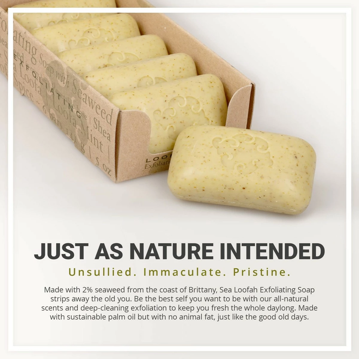 Baudelaire Exfoliating Soap, Sea Loofa Bath Soap & Body Soap, Natural Soap, Triple Milled With 100% Natural Fragrance, 2% Seaweed And Sustainable Palm Oil - 5 Oz (COMES IN 6 PIECE BOX!) 11 Baudelaire Exfoliating Soap, Sea Loofa Bath Soap & Body Soap, Natural Soap, Triple Milled With 100% Natural Fragrance, 2% Seaweed And Sustainable Palm Oil - 5 Oz (COMES IN 6 PIECE BOX!) - Image 9