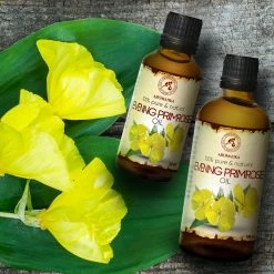 AROMATIKA Evening Primrose Oil 100ml - Oenothera Biennis Oil - 100% Pure Best Natural Moisturizer - Great Benefits For Skin - Hair - Face - Body - Uses Agent - Great Beauty - Spa - Relax - Bath -Moisturizers Sales wzhd89gujw4cx4e7ihubs5opzf3z