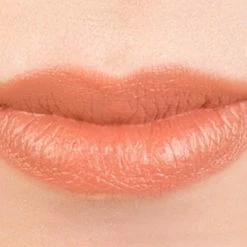 Physicians Formula Organic Wear Tinted Lip Treatment Gingersnap 10 Physicians Formula Organic Wear Tinted Lip Treatment Gingersnap -Moisturizers Sales xbd1klsikw06tynp4icivw0qpd8v