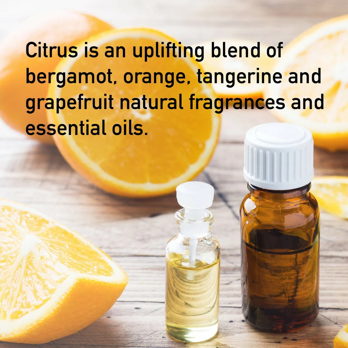 Pharmacopia Citrus Body Wash – Moisturizing Shower Gel With Natural & Organic Ingredients – Vegan Bodywash For Men & Women, 16oz 5 Pharmacopia Citrus Body Wash – Moisturizing Shower Gel With Natural & Organic Ingredients – Vegan Bodywash For Men & Women, 16oz - Image 3