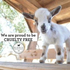 Dionis - Goat Milk Skincare Creamy Coconut & Oats Scented Bar Soap (6 Oz) - Made In The USA - Cruelty-free And Paraben-free 14 Dionis - Goat Milk Skincare Creamy Coconut & Oats Scented Bar Soap (6 Oz) - Made In The USA - Cruelty-free And Paraben-free -Moisturizers Sales y5celaepdvedrxul1rt55mn1rc0m