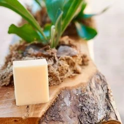 Tangie LLC Tangie Refillable Liquid Hand Soap Bar Zero-Waste Vegan (Citrus) 13 Tangie LLC Tangie Refillable Liquid Hand Soap Bar Zero-Waste Vegan (Citrus) -Moisturizers Sales yjglc4svrdtsuk8tdxe30l6i6cs7