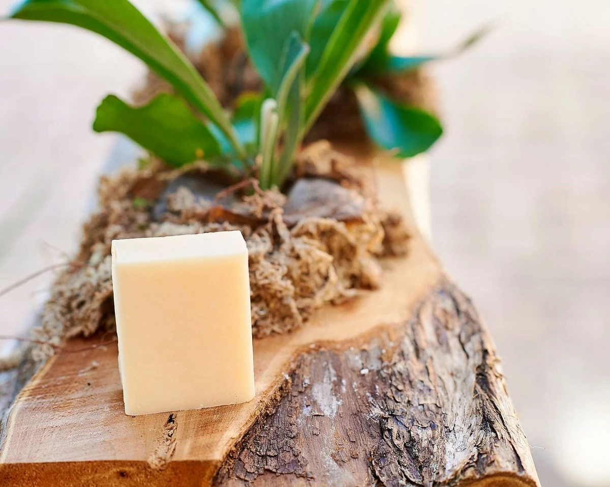 Tangie LLC Tangie Refillable Liquid Hand Soap Bar Zero-Waste Vegan (Citrus) 6 Tangie LLC Tangie Refillable Liquid Hand Soap Bar Zero-Waste Vegan (Citrus) - Image 4